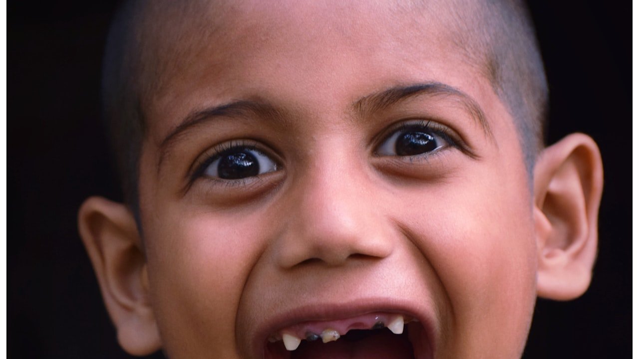 Auger teeth for hard ground-Everything you need to know