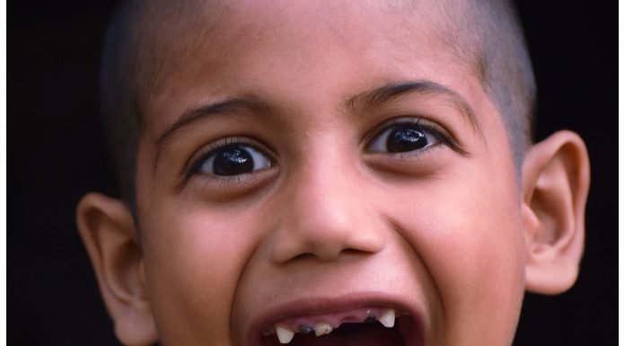 Auger teeth for hard ground-Everything you need to know